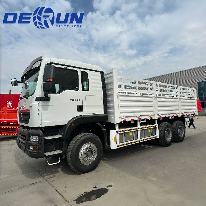 SinTruk Howo 6x4 TX Cargo Truck